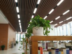 内景-南京林业大学-图书馆