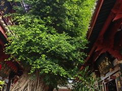-叩齿古寺