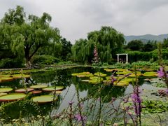 -国家植物园南园