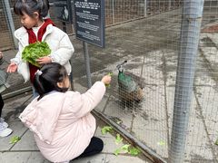 -厦门悦华酒店