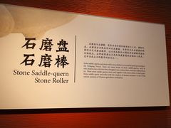 -平顶山博物馆