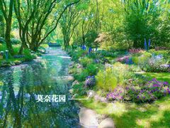 -上海共青森林公园