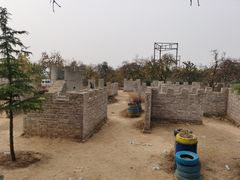 -樱桃部落培训基地