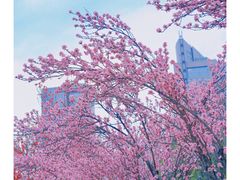 -四川科技馆