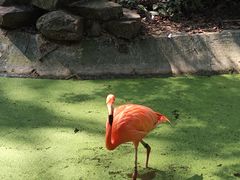 -杭州动物园
