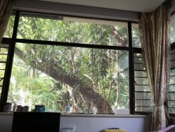 点击看大图 -宝生月子中心(独栋园林·福田店)