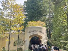 -三鹰之森吉卜力美术馆