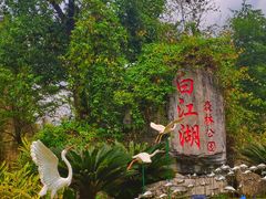 -广州白江湖森林公园