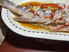 -田螺阿姨自营月嫂·育儿嫂(高新店)