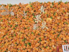 -青果巷历史文化街区