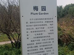 -昆山城市生态森林公园