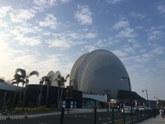 -野狸岛