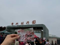 -曹州牡丹园