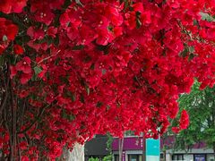 -有红鸡毛店·川菜(建设路店)