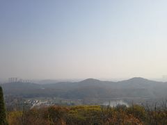 -镇江市南山风景名胜区竹林景区