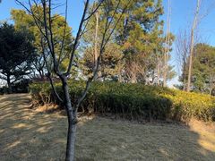 -美兰湖景区