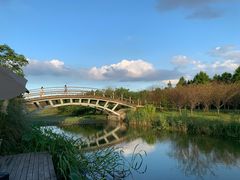 -盐官日光域房车营地·有盐餐厅