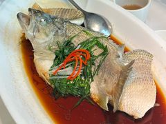 -院里寻菜·精致庭院菜(观沙岭店)