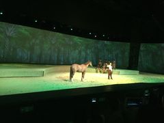 -cavalia·舞马