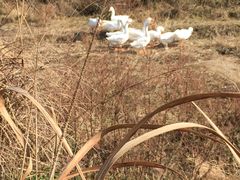 -会稽山峡洞漂流-上青古道