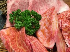 -俺的焼肉(銀座9丁目店)