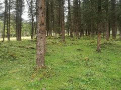 -硗碛藏寨·神木垒景区