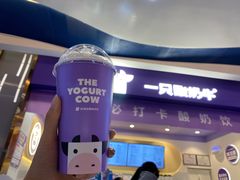 -一只酸奶牛(八一路店)