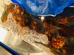 -新世界百货(明洞总店)