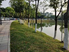-东莞植物园
