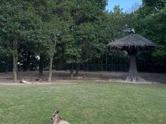 -上海野生动物园