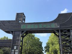 -溱湖国家湿地公园