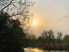 -西溪国家湿地公园