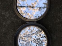-小乐惠(西溪路店)