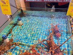 -新金盛·海鲜酒楼(盐田店)