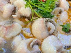 -大鼎石锅鱼(春江里店)