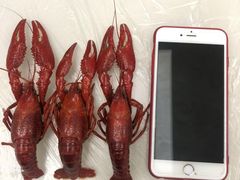 -江杨农产品批发市场