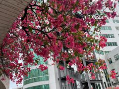 -南方医科大学南方医院(院本部)