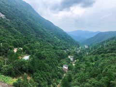 -三清山希尔顿度假酒店