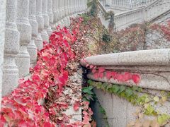 -北京张裕爱斐堡酒庄