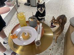 -柴务处·柴犬主题狗咖