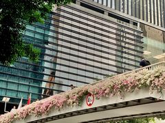-广州市正骨医院