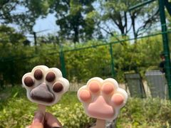 -苏州太湖国家湿地公园