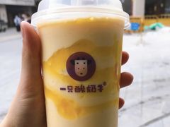 -一只酸奶牛(八一路店)