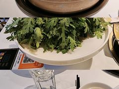 -烹然四季椰子鸡火锅(姚家园万象汇店)