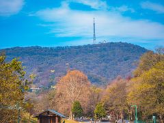 -南京老山国家森林公园