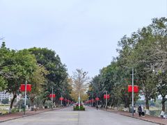 -风云岭森林公园