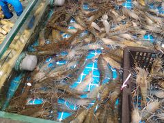 -一方渔歌蒸汽海鲜自助(文化路万达广场店)