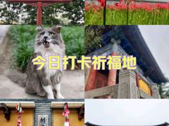 -西安大兴善寺