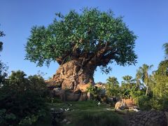 -奥兰多迪士尼动物王国乐园