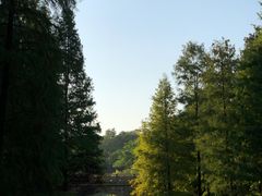 -云溪植物园